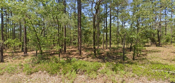 NW Geranium Ave, Dunnellon, FL 34431 Dunnellon Florida, 34431 | Beautiful Land