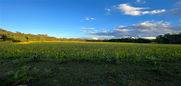 Richmond Ave Sanford Florida, 32773 | Premier Land Parcel by Sanford's Airport Hub