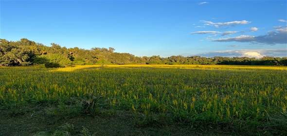 Richmond Ave Sanford Florida, 32773 | Premier Land Parcel by Sanford's Airport Hub