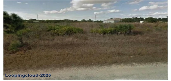 2804 Mable Ave N LEHIGH ACRES, FL 33971 Lehigh Florida, 33971 | Beautiful Land