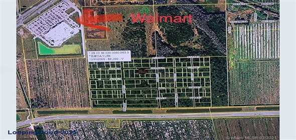E Ave Helms Rd La Belle Florida, 33935 | Beautiful Land