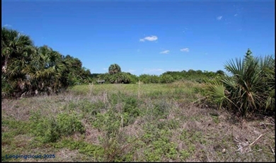 232 Sparkle Dr , La Belle Florida                                                                                              33935