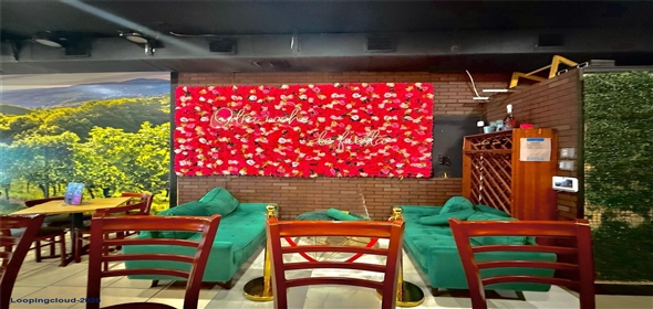 MIAMI Miami Florida, 33144 | Beautiful Restaurant