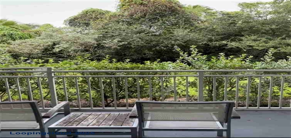 5300 NW 87th Ave # 503 Doral Florida, 33178 | Fantastic 1st floor STUDIO Apartment in Downtown Doral