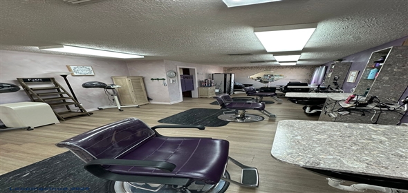 37610 Clinton Ave Dade City Florida, 33525 | 37610 Clinton Ave