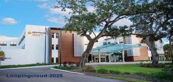 6101 Webb Rd Unit 109 Tampa Florida, 33615 | Town & Country Medical Center Condo with Seller Finance