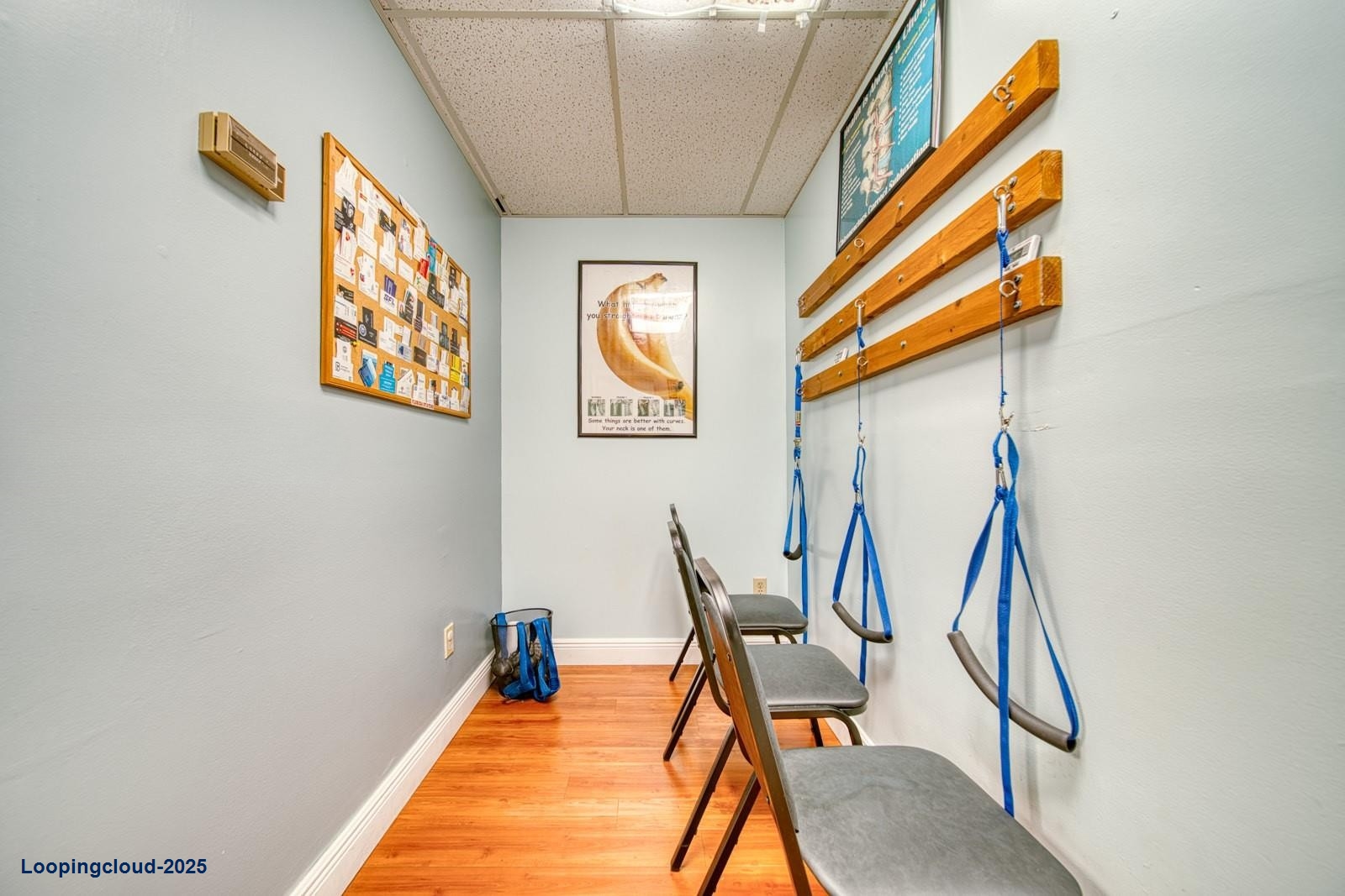 Established Chiropractic With Over 30 Years Of Successful Operation