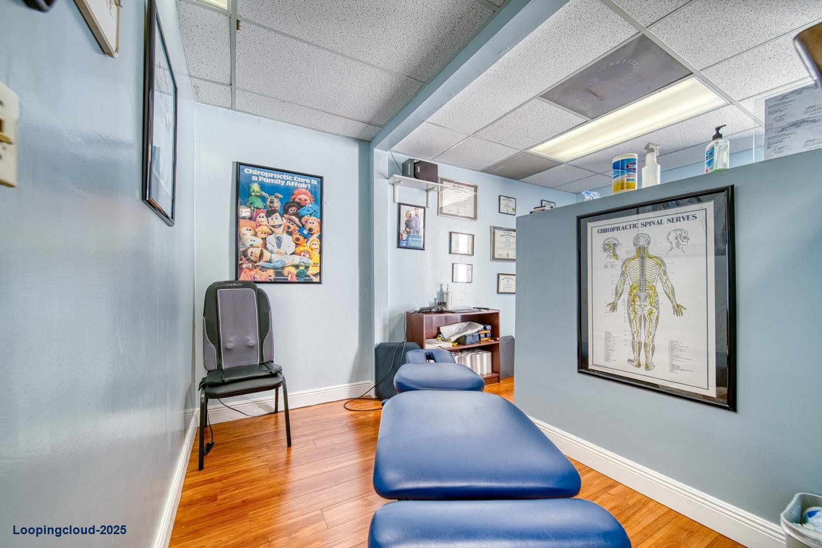 Established Chiropractic With Over 30 Years Of Successful Operation