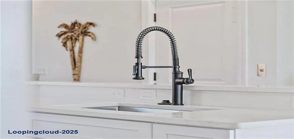 6418 MARGARITA SHORES LN Apollo Beach Florida, 33572 | 6418 MARGARITA SHORES LN Apollo Beach