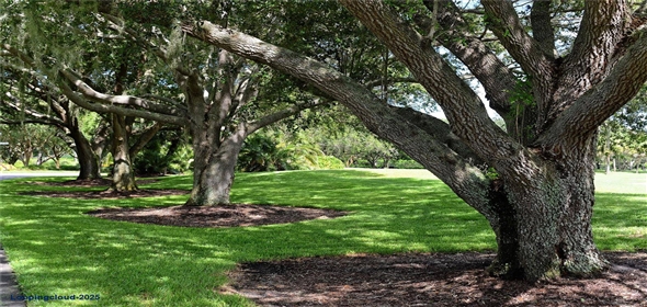 340 OSPREY POINT DR Osprey Florida, 34229 | 340 OSPREY POINT DR Osprey