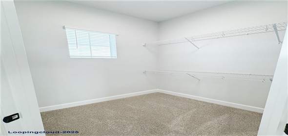 13957 Prickley Cone Cove Loxahatchee Florida, 33470 | Stunning Single Family