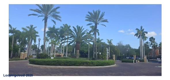 4602 SW 160th Ave # 537 Miramar Florida, 33027 | Cozy Residential Rental