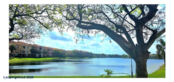 4602 SW 160th Ave # 537 Miramar Florida, 33027 | Cozy Residential Rental