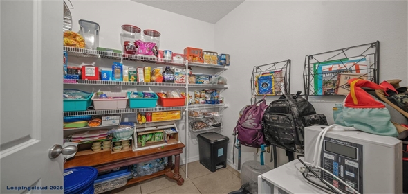 17014 WAVE TRESSLE PL Wimauma Florida, 33598 | 17014 WAVE TRESSLE PL Wimauma