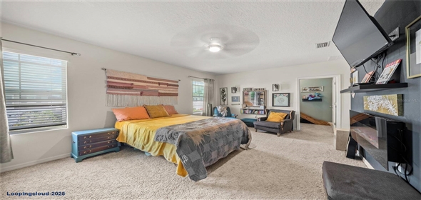 17014 WAVE TRESSLE PL Wimauma Florida, 33598 | 17014 WAVE TRESSLE PL Wimauma