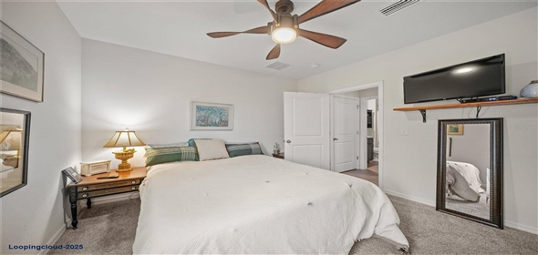 17014 WAVE TRESSLE PL Wimauma Florida, 33598 | 17014 WAVE TRESSLE PL Wimauma