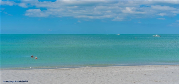 4995 PEPPERWOOD PL Venice Florida, 34293 | 4995 PEPPERWOOD PL Venice