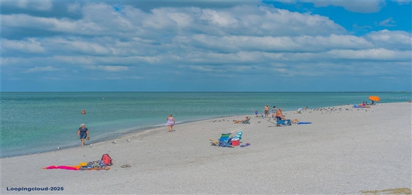 4995 PEPPERWOOD PL Venice Florida, 34293 | 4995 PEPPERWOOD PL Venice