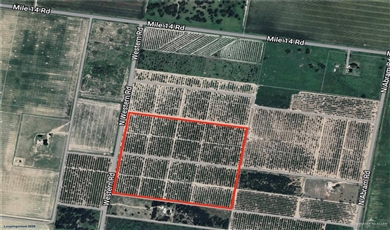 002 Western Road Mission Texas, 78574 | ±40 Acres on Western Rd Near 14 Mile Line – Excellent Opportunity on the East Side!