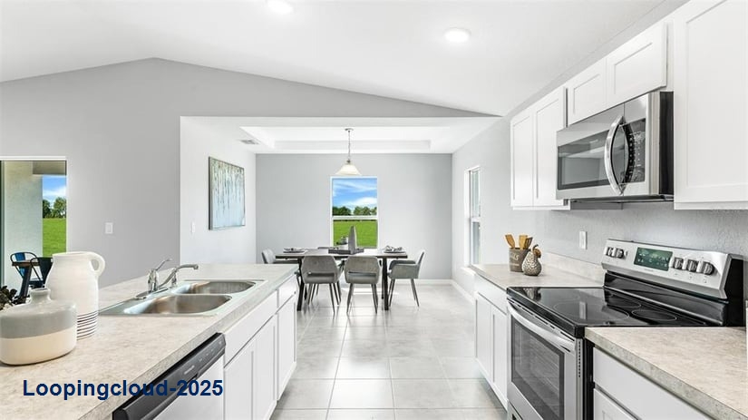 Brand New Single Family Home – The Gasparilla | 4BR, Vaulted Ceilings, Impact Windows & Move-In Ready!