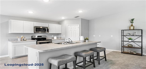 5338 Murphy Street Port Charlotte Florida, 33981 | Brand New Single Family Home – The Gasparilla | 4BR, Vaulted Ceilings, Impact Windows & Move-In Ready!