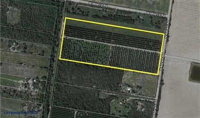 0 Abram Road Mission Texas, 78574 | 19.34 Acres on Abram Road | Prime Land Opportunity