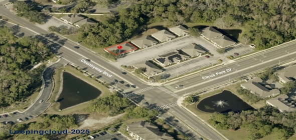 11357 Countryway Blvd Northdale Florida, 33626 | 11357 Countryway Blvd