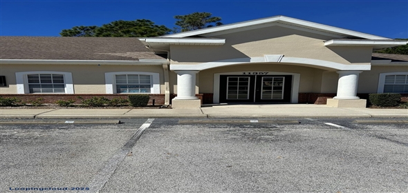 11357 Countryway Blvd Northdale Florida, 33626 | 11357 Countryway Blvd