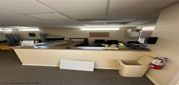 11357 Countryway Blvd Northdale Florida, 33626 | 11357 Countryway Blvd