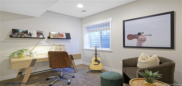 2855 S Pancratia Street Denver Colorado, 80236 | Incredible Home