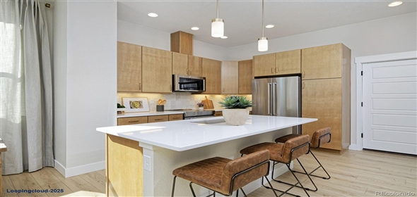 2855 S Pancratia Street Denver Colorado, 80236 | Incredible Home