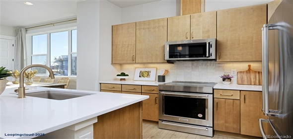 2855 S Pancratia Street Denver Colorado, 80236 | Incredible Home