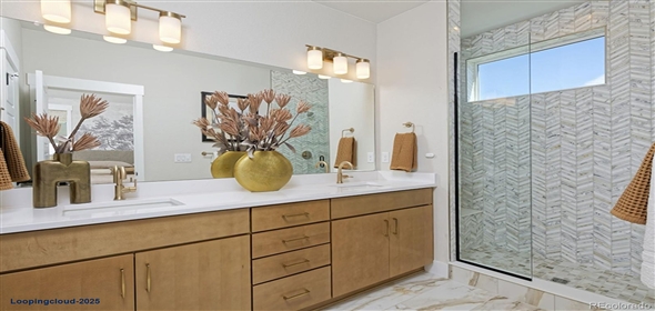 2855 S Pancratia Street Denver Colorado, 80236 | Incredible Home