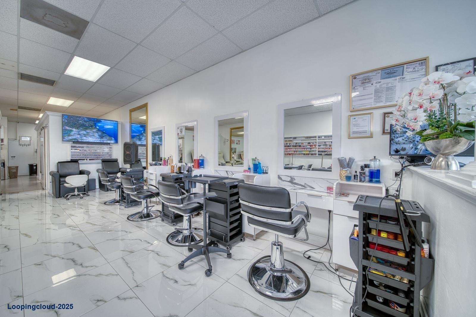 Contemporary, Fully Equipped Beauty Salon Available for Sale – Eureka & Florida Turnpike Area