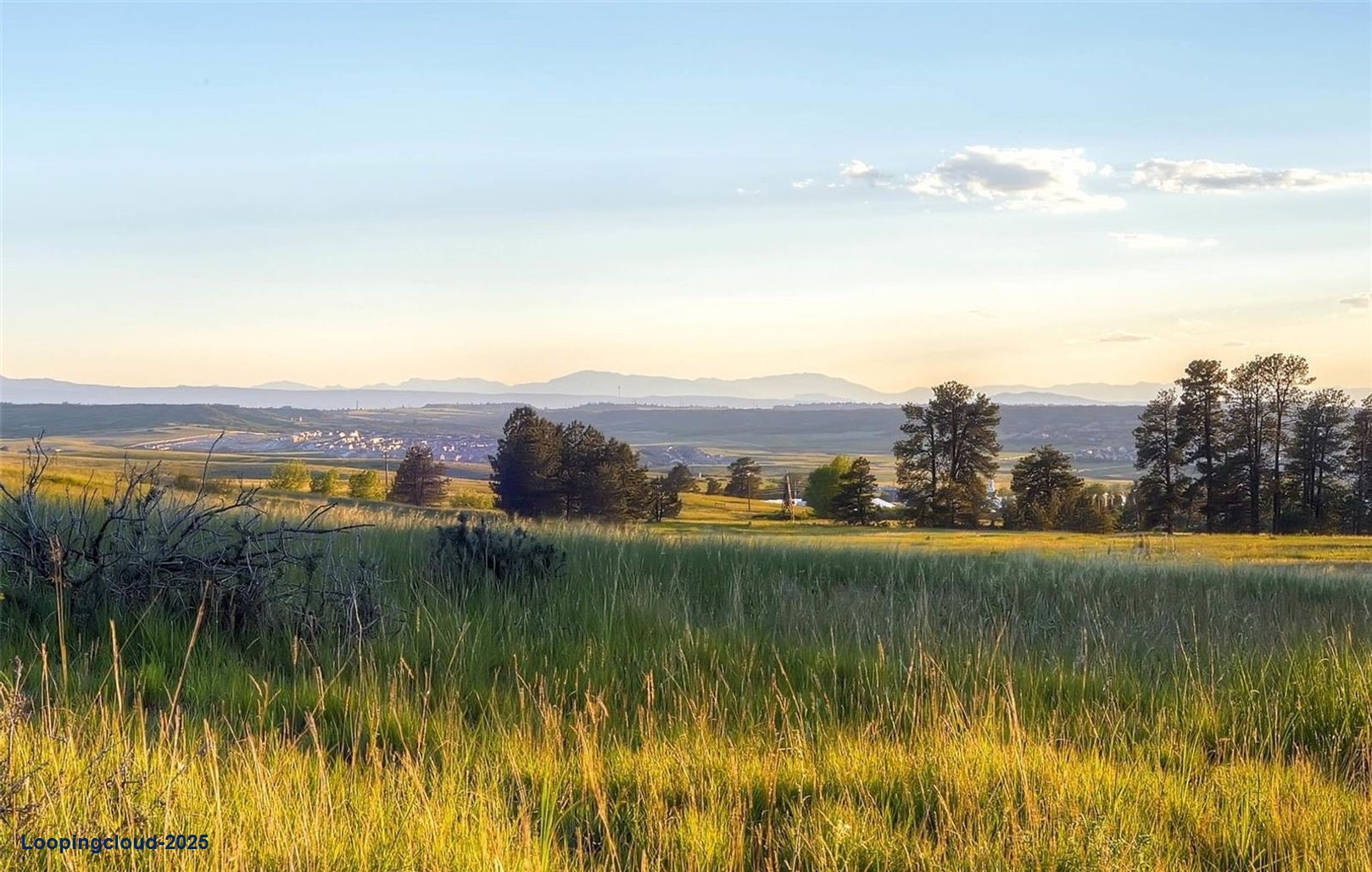 Dream Home in Timbers