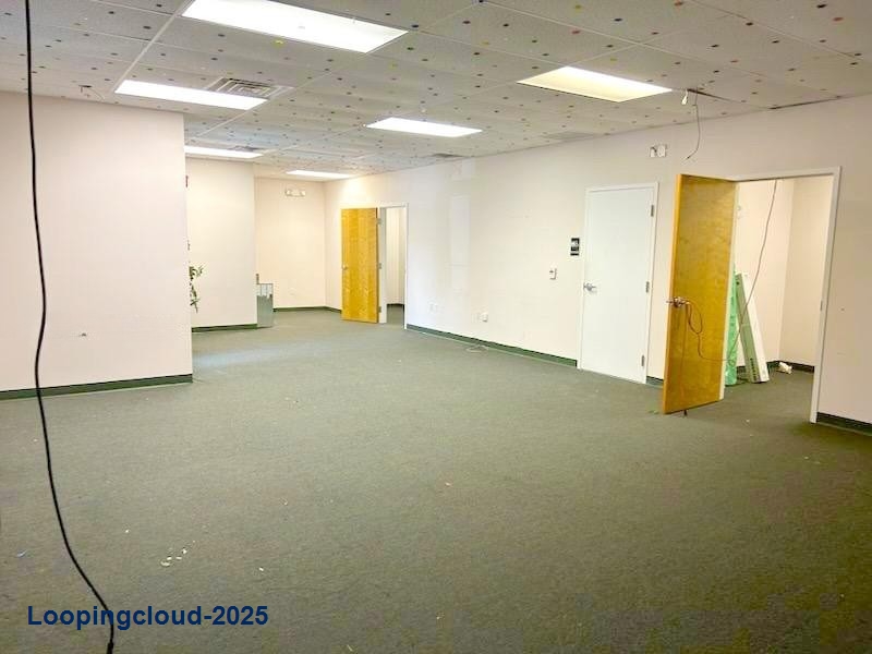 Nice Commercial Lease