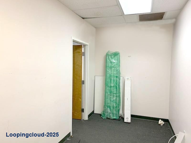 Nice Commercial Lease