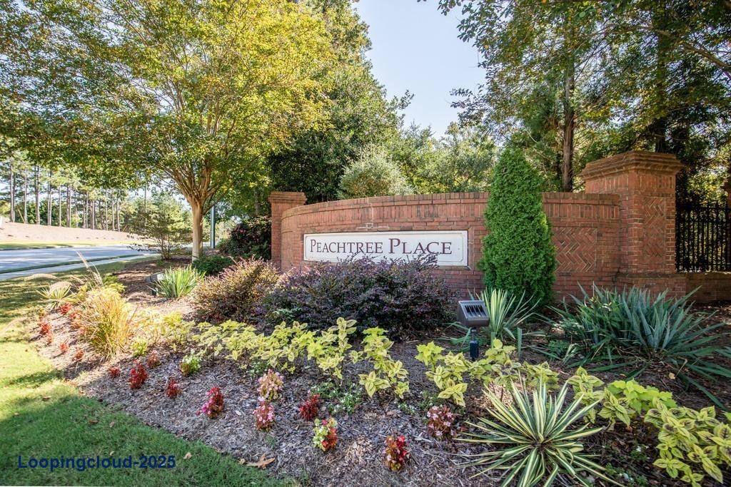 Single Family Home in Peachtree Place Community