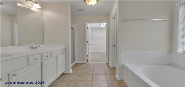 818 Prada Court Lawrenceville Georgia, 30043 | Single Family Home in Peachtree Place Community