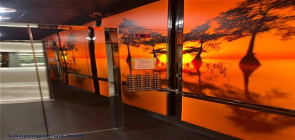 2000 Metropica Way #901, Sunrise, FL 33323 Sunrise Florida, 33323 | Lovely and Gorgeous Home