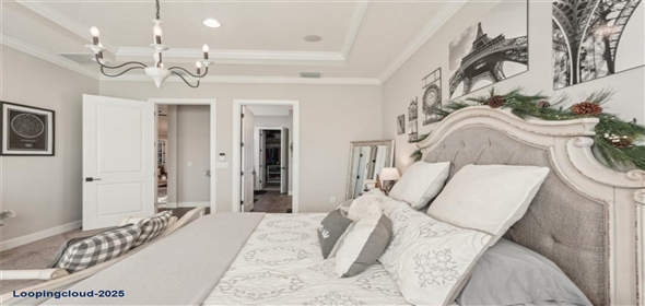 5203 RUSHMERE Court Palmetto Florida, 34221 | Elegant & Comfortable Single Family Residence