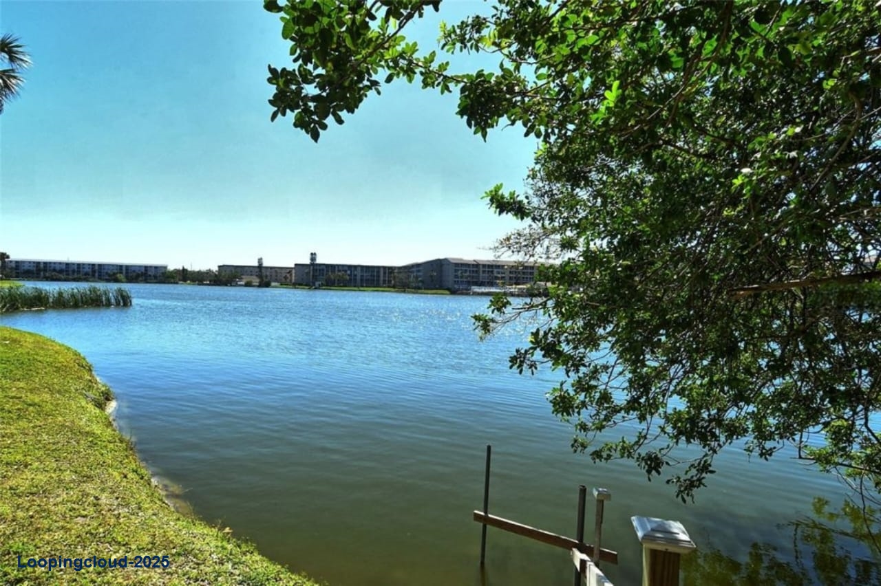 Luxury Renovated Corner Unit Condo