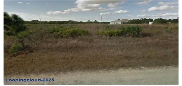 2804 Mable Ave N Lehigh Acres Florida, 33971 | Fantastic 0.24 Lot