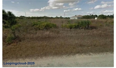 2804 Mable Ave N, Lehigh Acres Florida , 33971