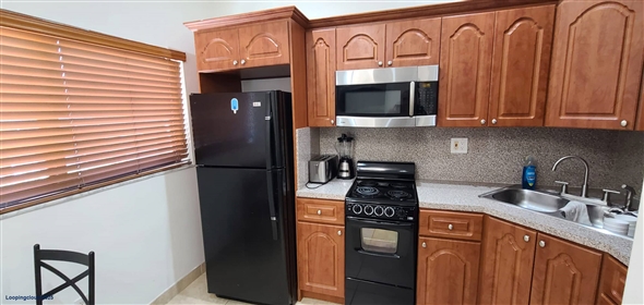 1721 SW 24th Ter Miami Florida, 33145 | Modern Multifamily Opportunity Near Coconut Grove & Brickell