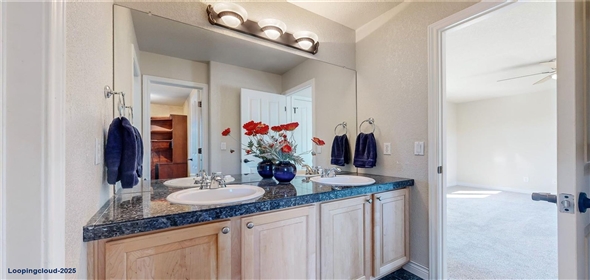 5398 S Jay Drive Littleton Colorado, 80123 | Incredible Remodeled Home