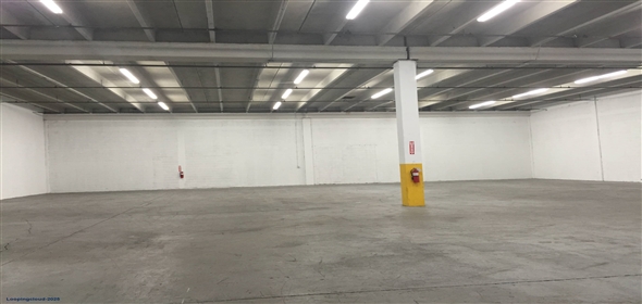 2958 NW 72nd Ave Miami Florida, 33122 | Beautiful Warehouse Office