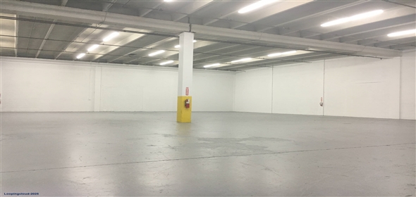 2958 NW 72nd Ave Miami Florida, 33122 | Beautiful Warehouse Office