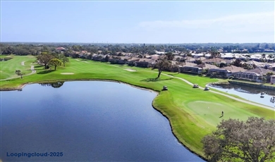Exquisite Custom-Built Home in Prestigious Gated Golf Community