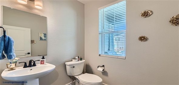 2419 Flats Street Erie Colorado, 80516 | End-Unit Home